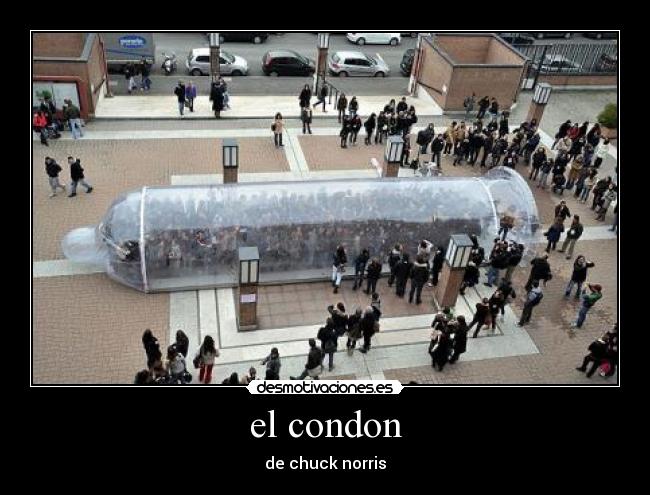 el condon -