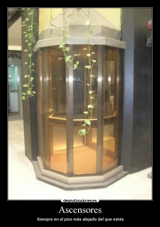 Ascensores -