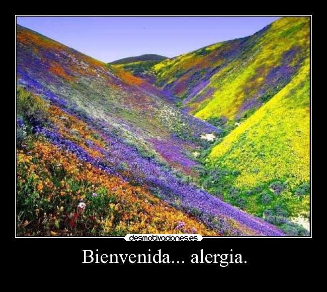 Bienvenida... alergia. -