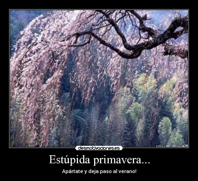 Estúpida primavera... - 