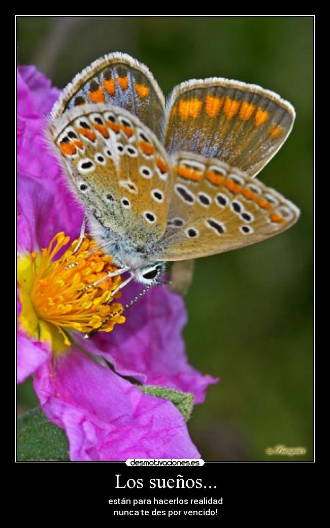 Los sueños... - 