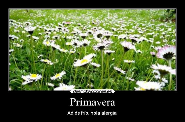 Primavera - 
