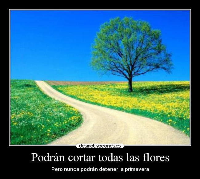 Podrán cortar todas las flores - Pero nunca podrán detener la primavera