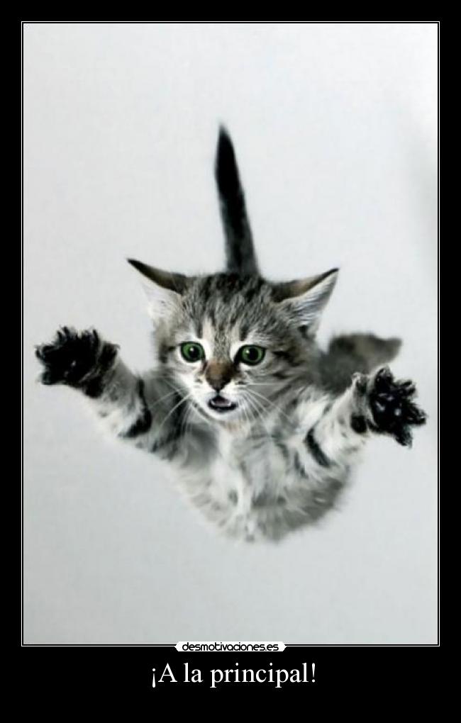 ¡A la principal! -