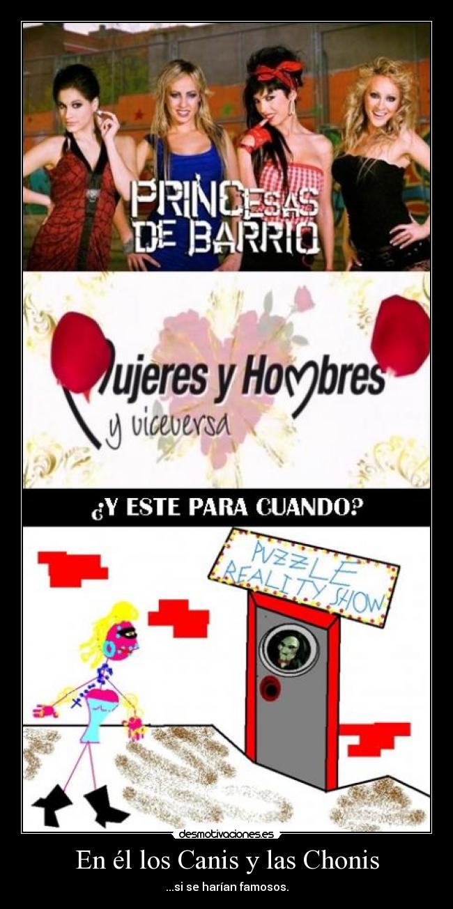 carteles canis desmotivaciones