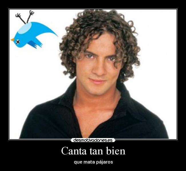 Canta tan bien - que mata pájaros