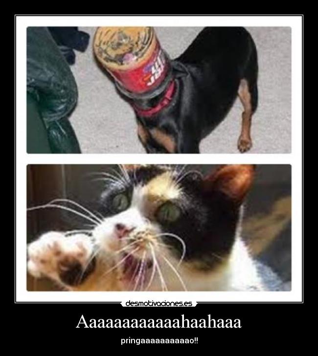 Aaaaaaaaaaaahaahaaa -