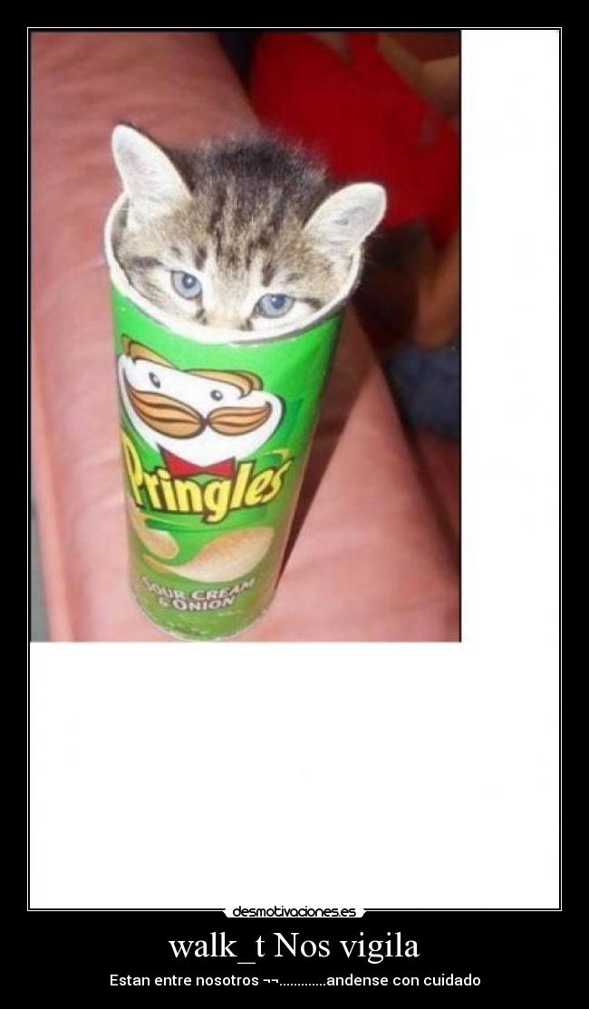 walk_t Nos vigila -