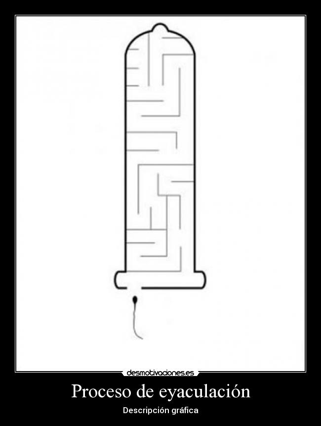 Proceso de eyaculación - 