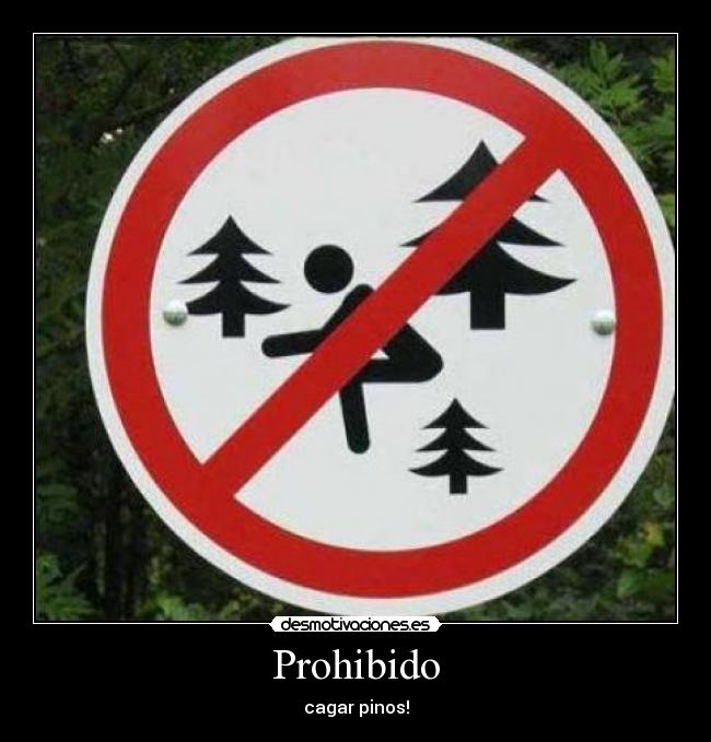 Prohibido - cagar pinos!