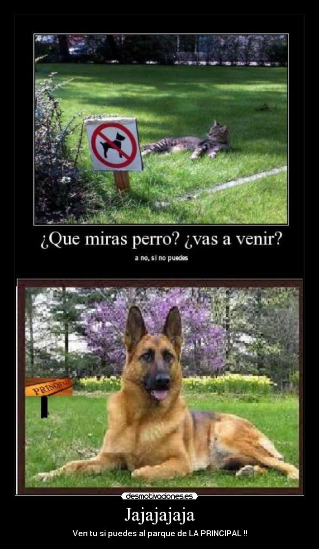 carteles xdddddddddddddddddddddd desmotivaciones