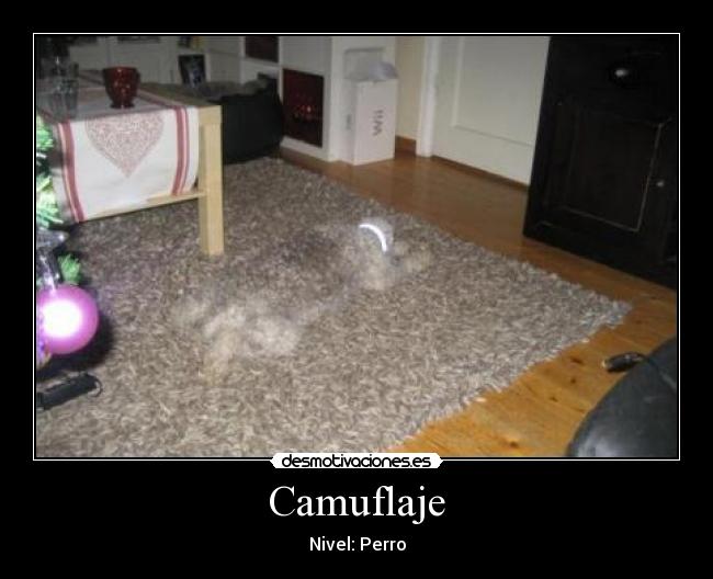 Camuflaje -