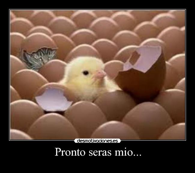 Pronto seras mio... -