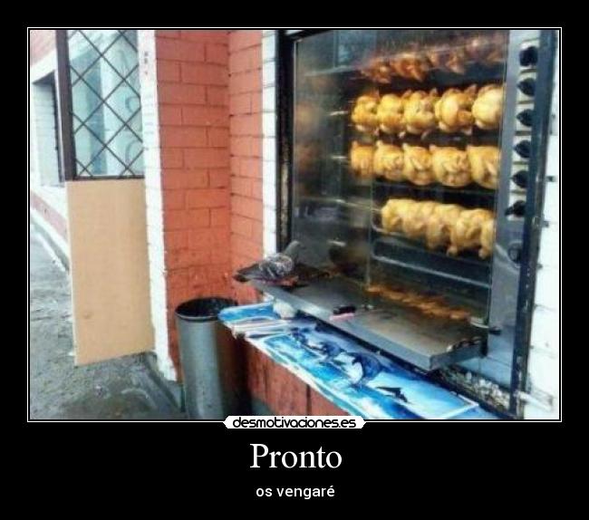 Pronto - 