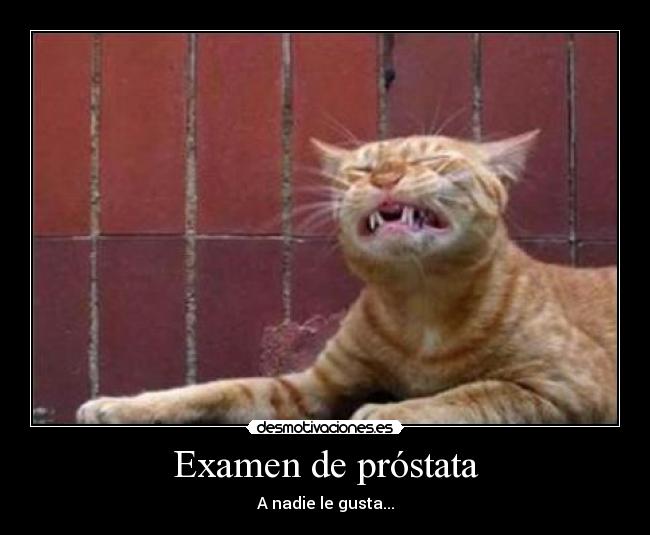 Examen de próstata - 