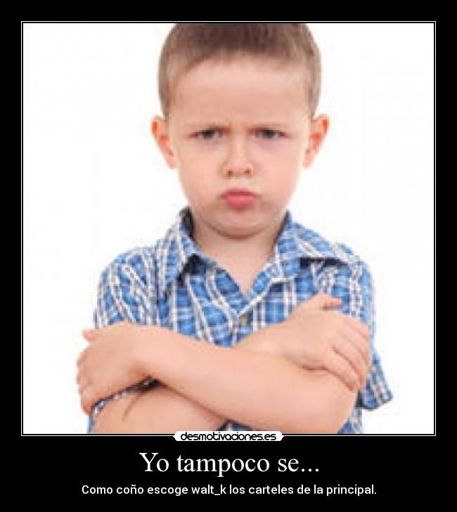 Yo tampoco se... - 