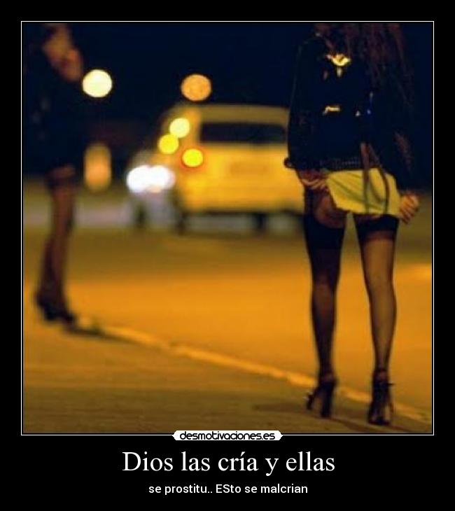 Dios las cría y ellas - 