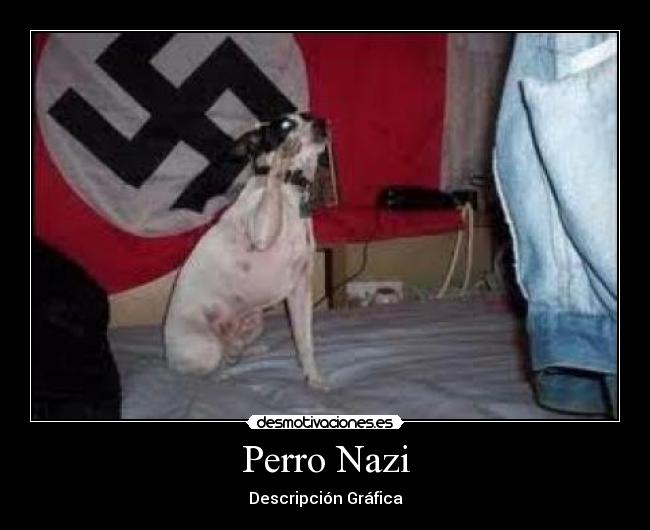 Perro Nazi - Descripción Gráfica