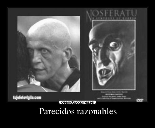 Parecidos razonables - 