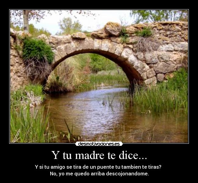 Y tu madre te dice... - Y si tu amigo se tira de un puente tu tambien te tiras? 
No, yo me quedo arriba descojonandome.