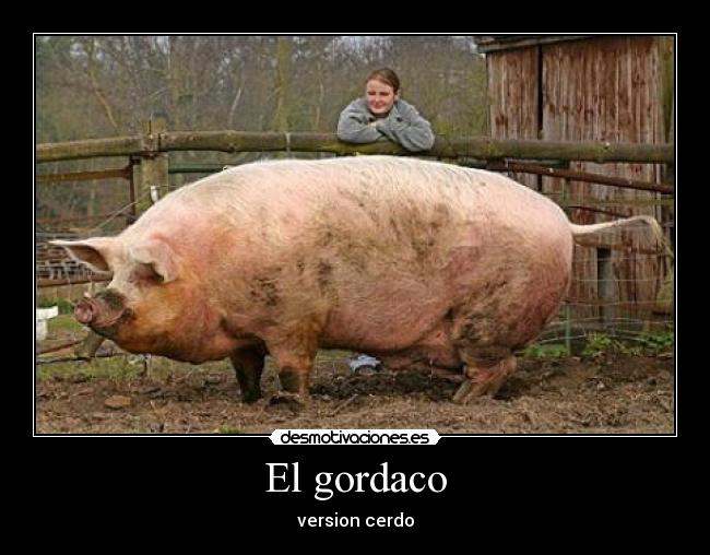 El gordaco -