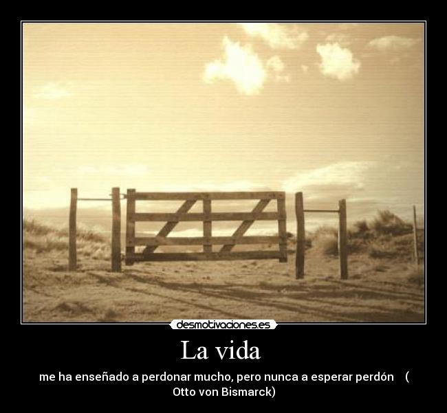 carteles vida perdon desmotivaciones