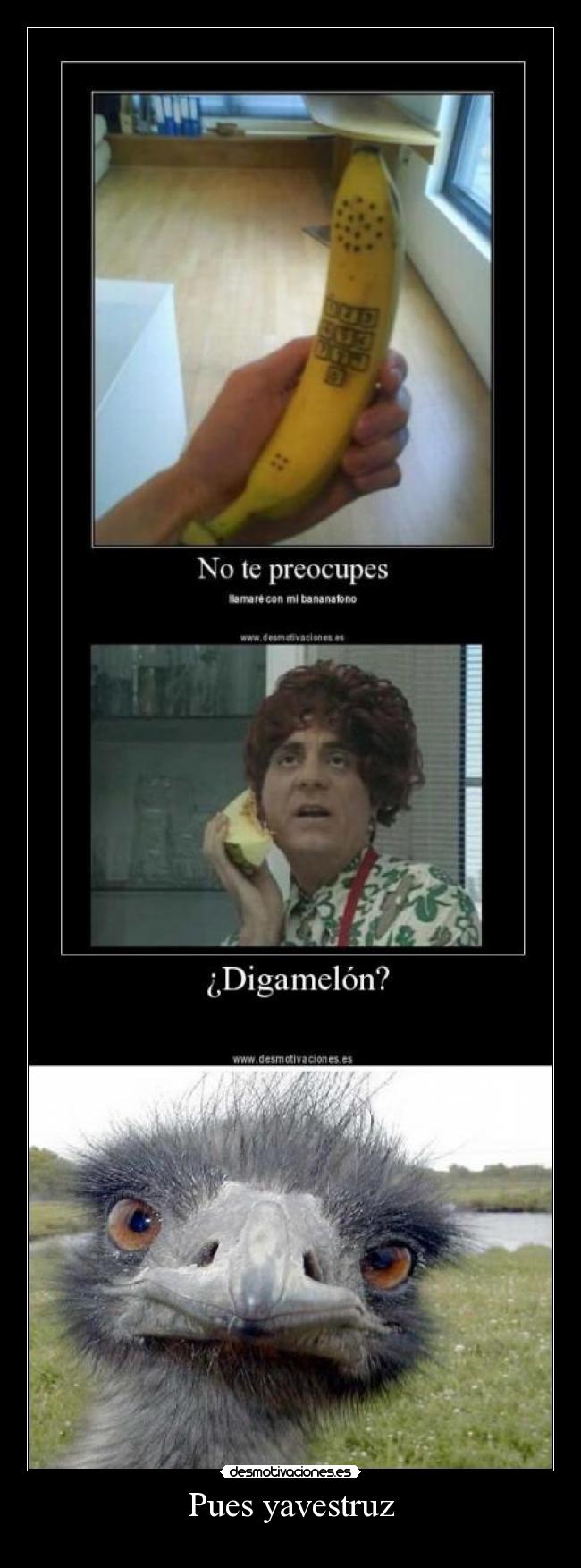 Pues yavestruz -