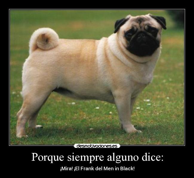 Porque siempre alguno dice: - ¡Mira! ¡El Frank del Men in Black!