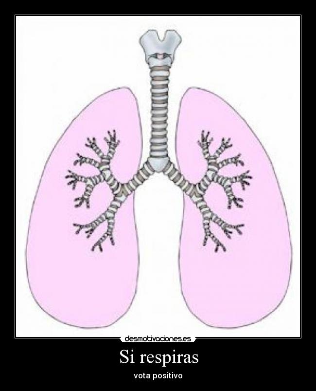 Si respiras -