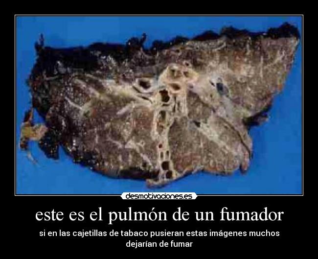 carteles holaaa desmotivaciones