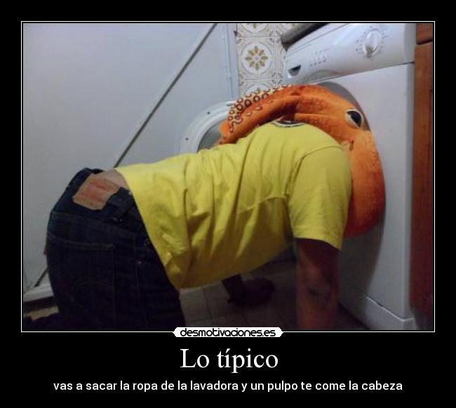 Lo típico - vas a sacar la ropa de la lavadora y un pulpo te come la cabeza