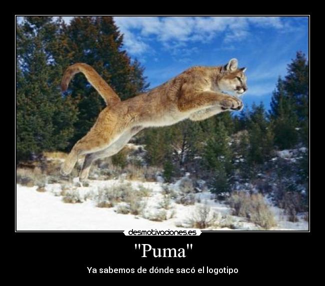 Puma - Ya sabemos de dónde sacó el logotipo