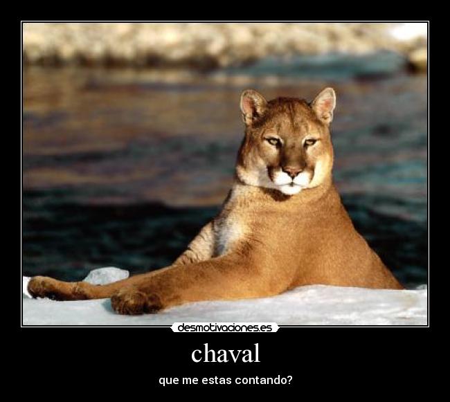 chaval -