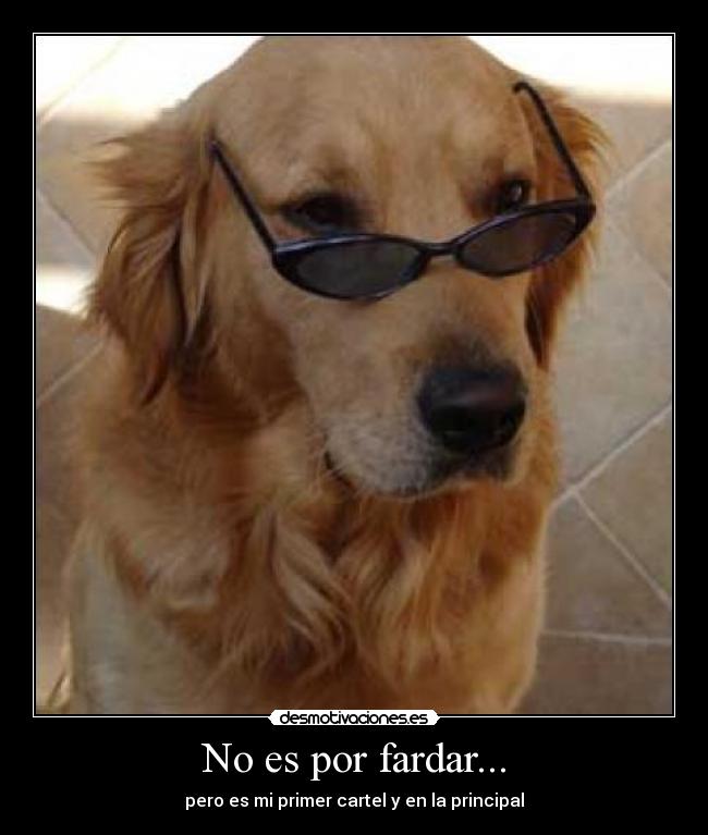 No es por fardar... -