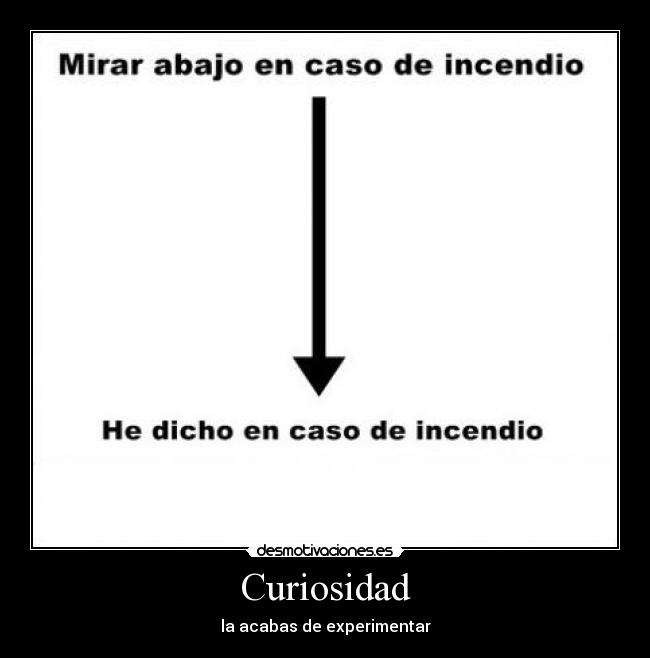 Curiosidad - la acabas de experimentar