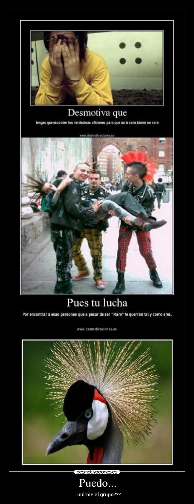 carteles punk desmotivaciones