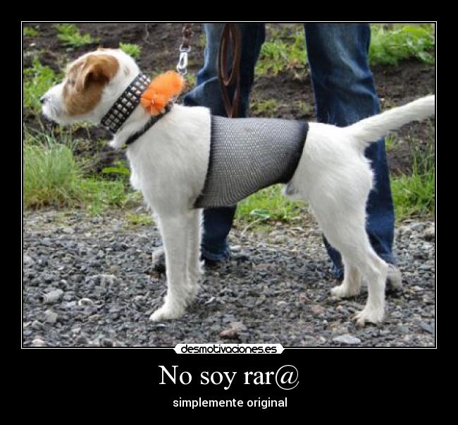 No soy rar@ - simplemente original