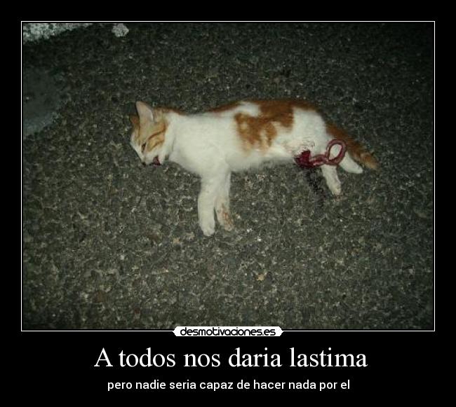 A todos nos daria lastima - pero nadie seria capaz de hacer nada por el