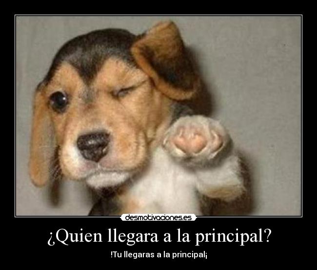 ¿Quien llegara a la principal? -