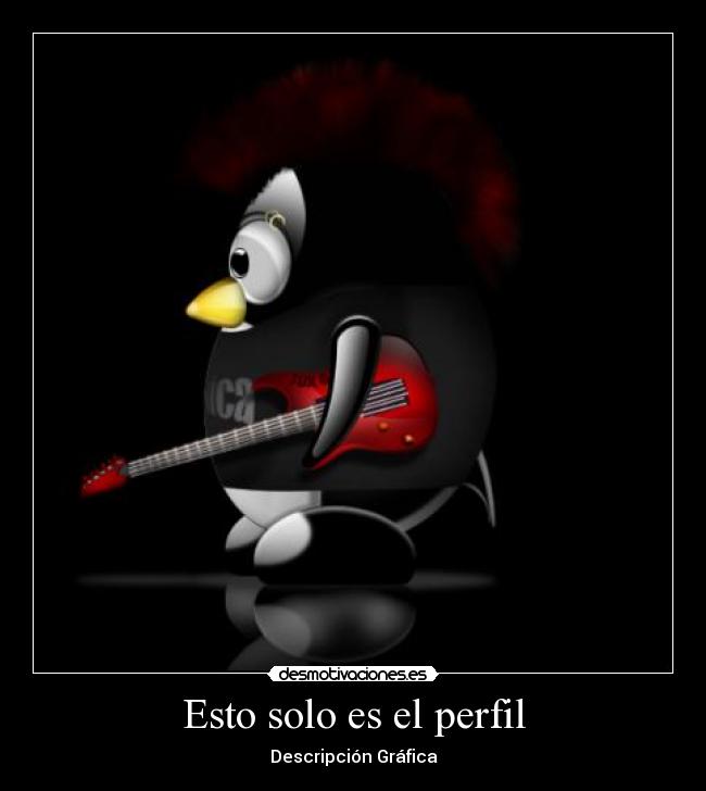 Esto solo es el perfil - Descripción Gráfica