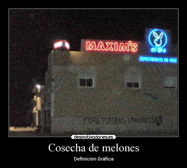 Cosecha de melones -