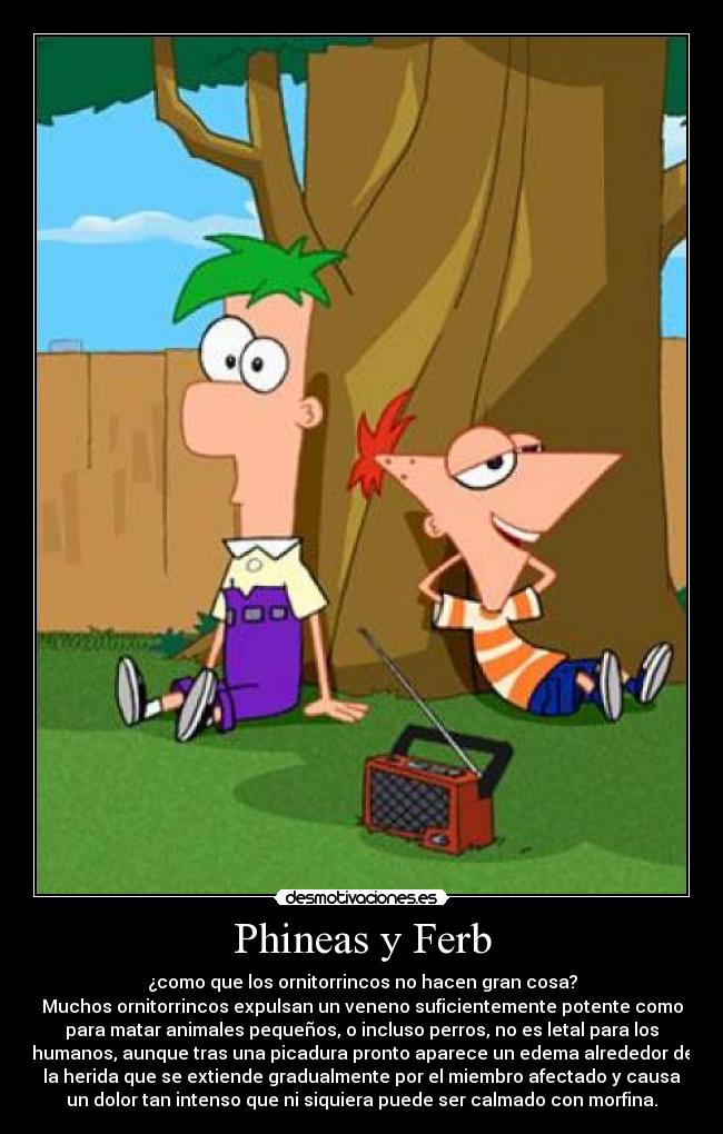 Phineas y Ferb - 