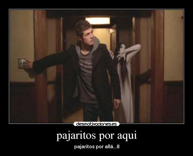 pajaritos por aqui -
