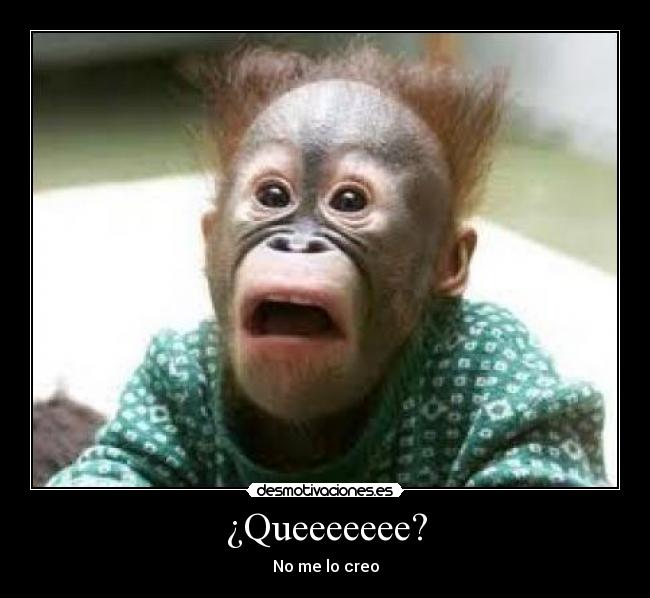 ¿Queeeeeee? - No me lo creo