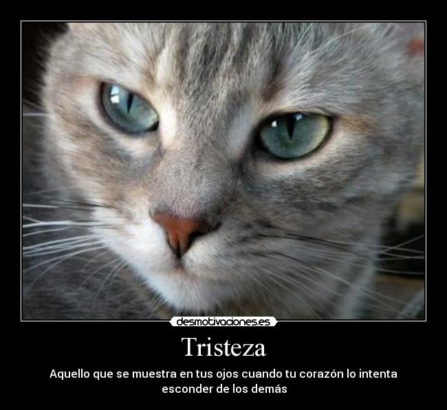 Tristeza -