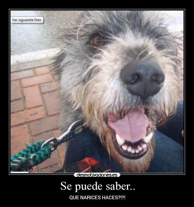 Se puede saber.. - QUE NARICES HACES?!?!