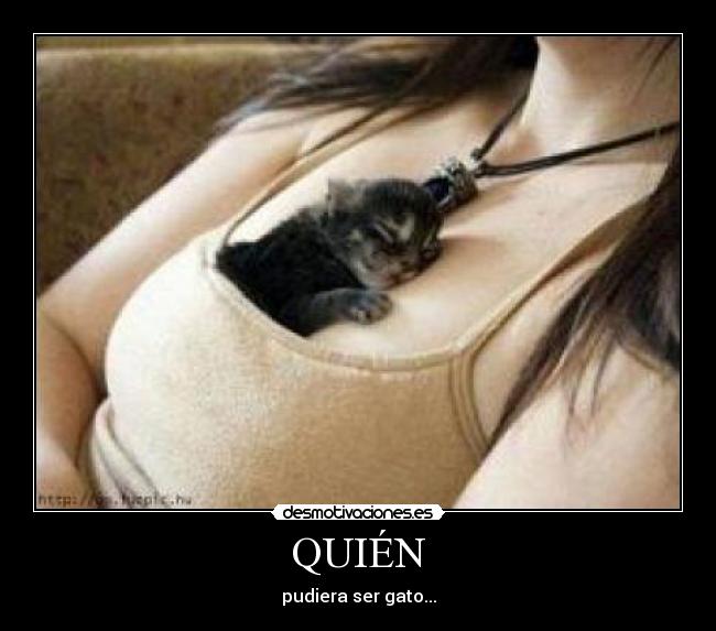 QUIÉN - 