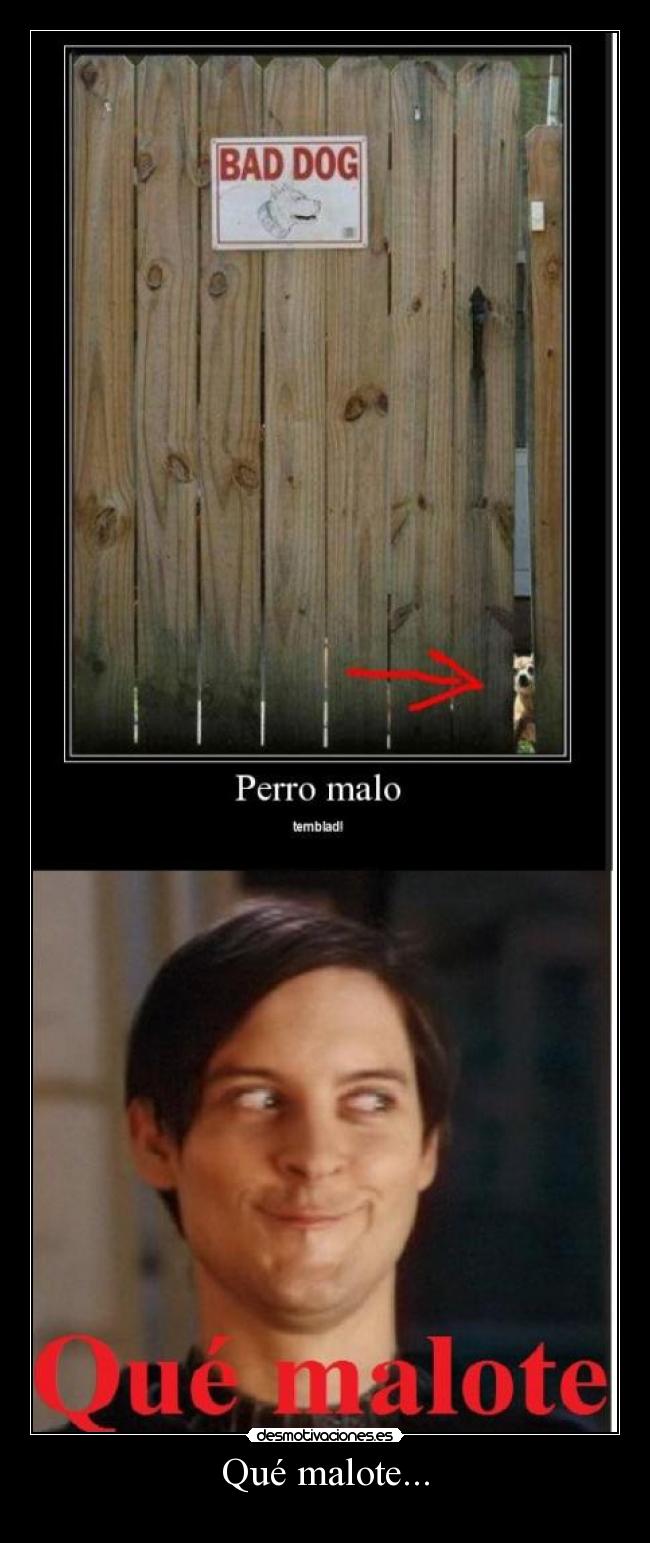 Qué malote... - 