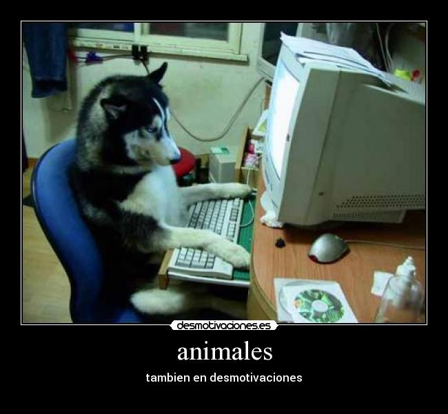 carteles animales desmotivaciones