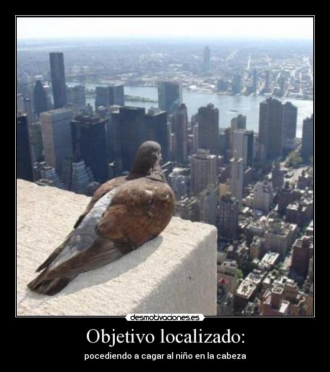 Objetivo localizado: - 